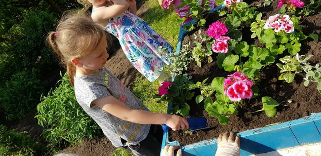 Ogród - Skarbnica Doświadczeń w Janku Wędrowniczku