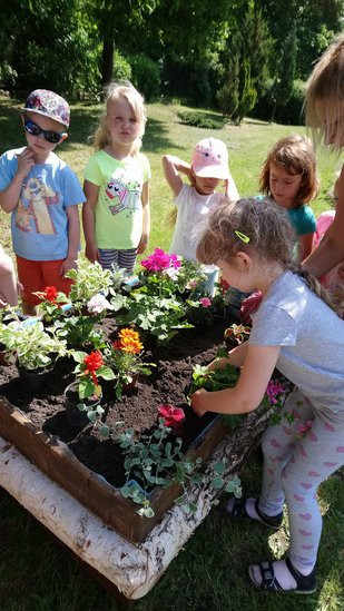 Ogród - Skarbnica Doświadczeń w Janku Wędrowniczku