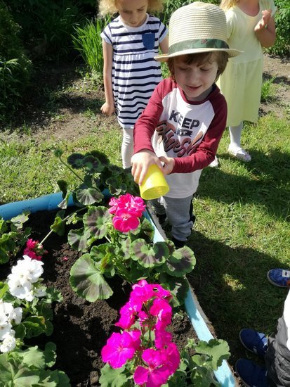 Ogród - Skarbnica Doświadczeń w Janku Wędrowniczku