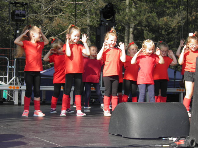 Dni Śremu 2018 za nami