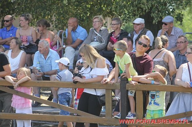 Niezwykłe sikawki w Cichowie