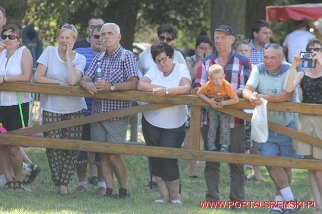 Niezwykłe sikawki w Cichowie