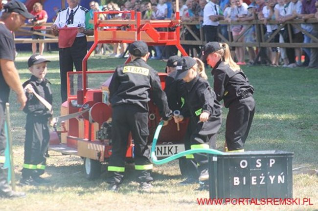 Niezwykłe sikawki w Cichowie