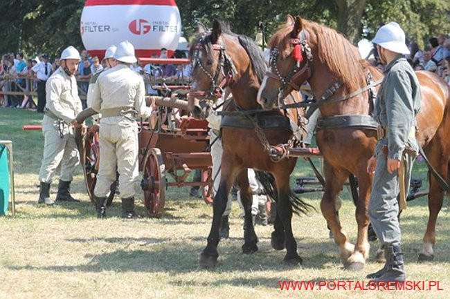 Niezwykłe sikawki w Cichowie