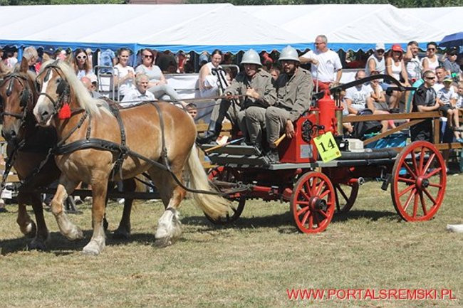 Niezwykłe sikawki w Cichowie