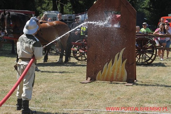 Niezwykłe sikawki w Cichowie