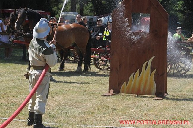 Niezwykłe sikawki w Cichowie