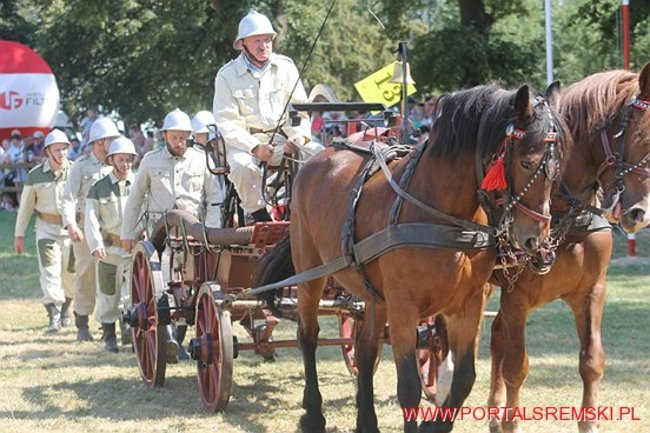 Niezwykłe sikawki w Cichowie