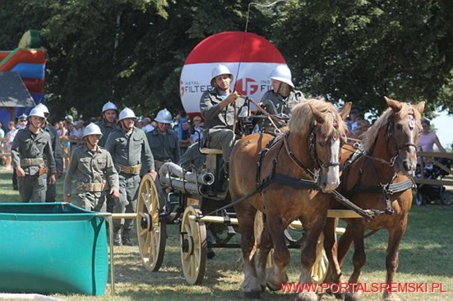 Niezwykłe sikawki w Cichowie