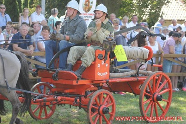 Niezwykłe sikawki w Cichowie