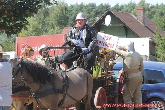 Niezwykłe sikawki w Cichowie