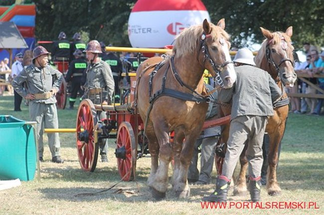 Niezwykłe sikawki w Cichowie