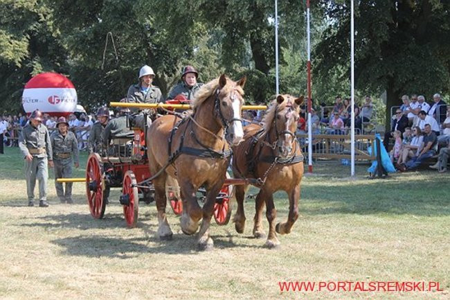 Niezwykłe sikawki w Cichowie