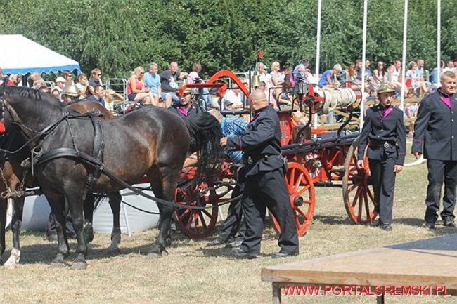 Niezwykłe sikawki w Cichowie
