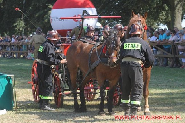 Niezwykłe sikawki w Cichowie