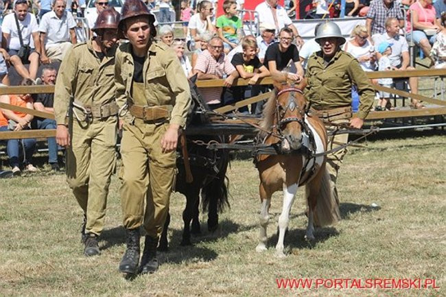 Niezwykłe sikawki w Cichowie