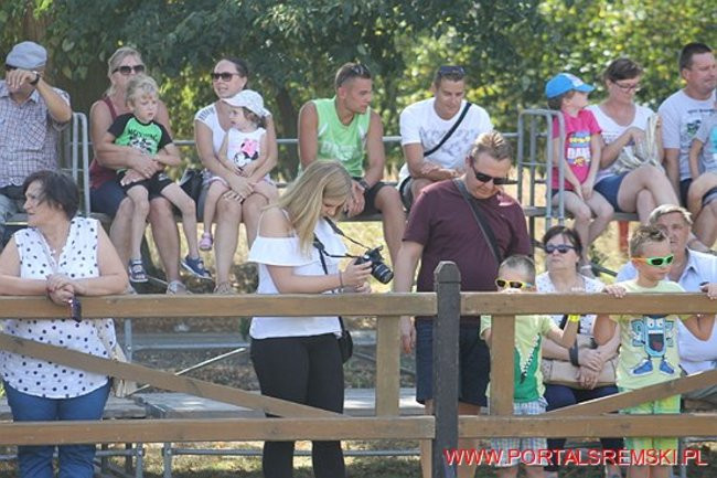 Niezwykłe sikawki w Cichowie