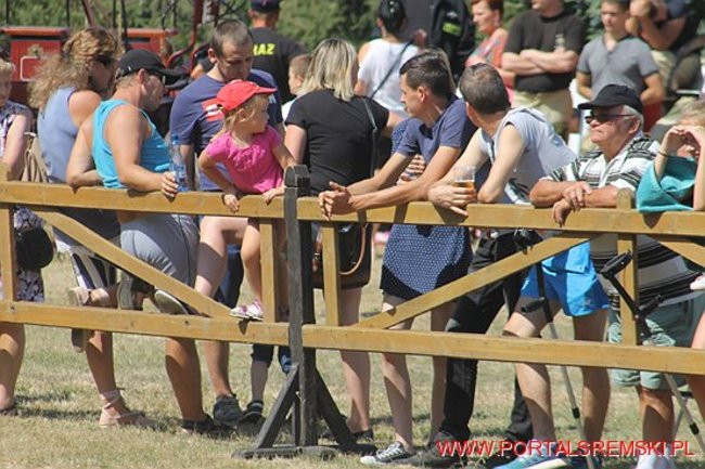 Niezwykłe sikawki w Cichowie