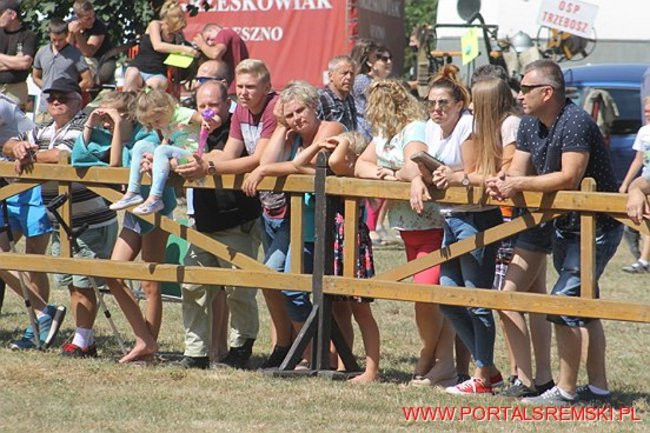 Niezwykłe sikawki w Cichowie