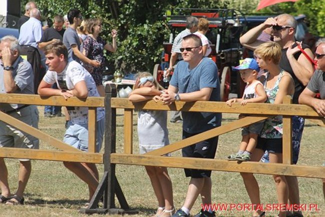 Niezwykłe sikawki w Cichowie