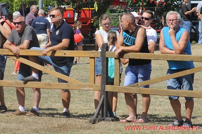 Niezwykłe sikawki w Cichowie