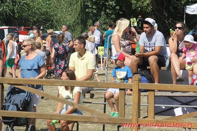 Niezwykłe sikawki w Cichowie