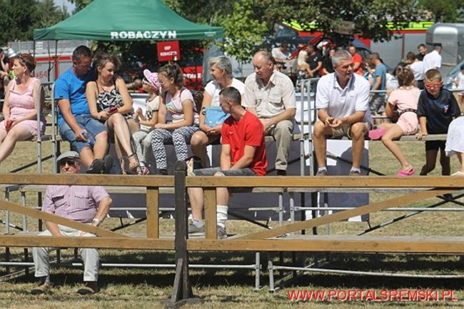 Niezwykłe sikawki w Cichowie