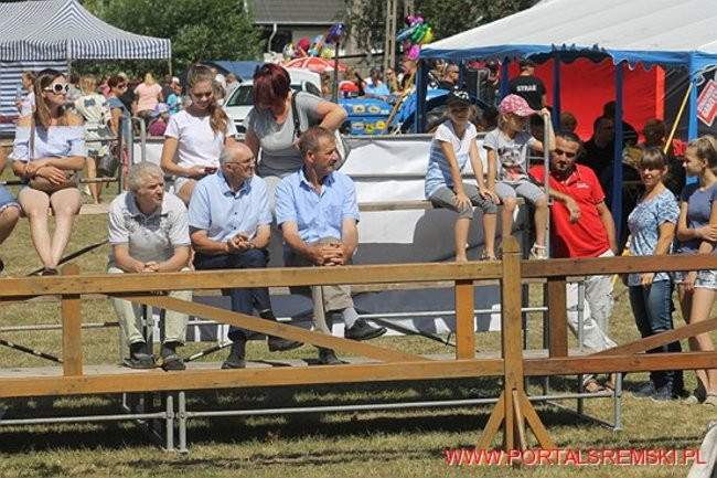 Niezwykłe sikawki w Cichowie