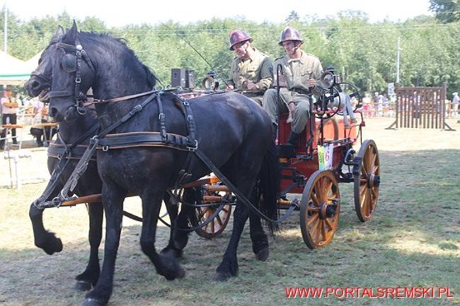 Niezwykłe sikawki w Cichowie