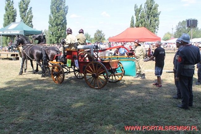 Niezwykłe sikawki w Cichowie