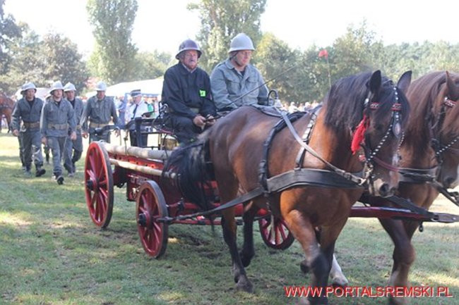 Niezwykłe sikawki w Cichowie