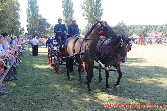 Niezwykłe sikawki w Cichowie
