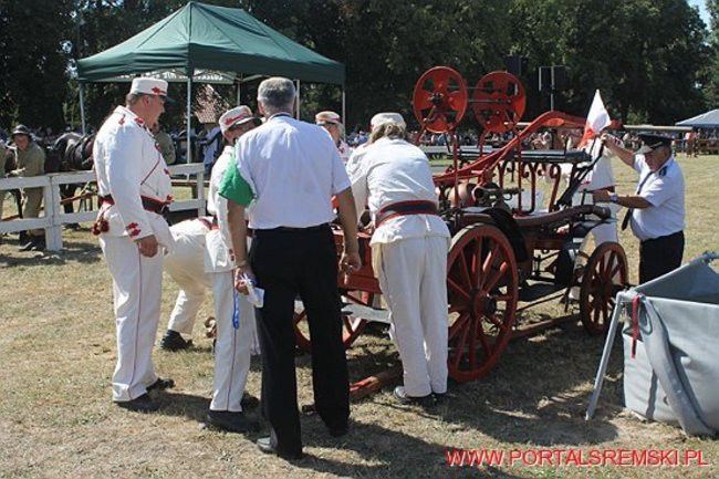 Niezwykłe sikawki w Cichowie