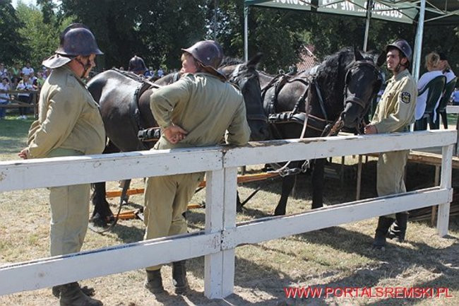 Niezwykłe sikawki w Cichowie