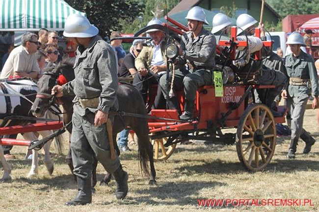 Niezwykłe sikawki w Cichowie