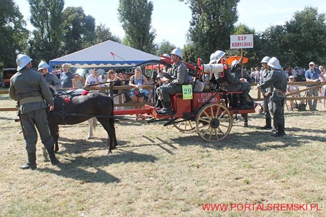 Niezwykłe sikawki w Cichowie