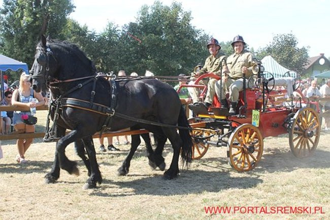 Niezwykłe sikawki w Cichowie