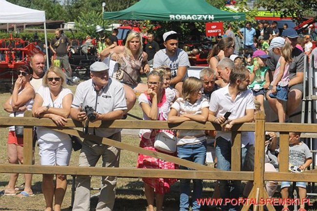 Niezwykłe sikawki w Cichowie