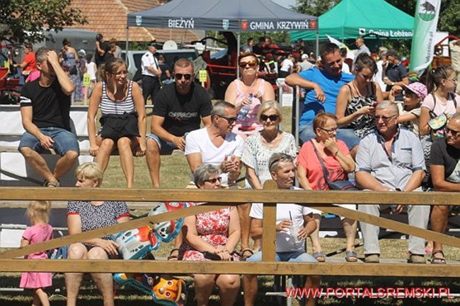 Niezwykłe sikawki w Cichowie