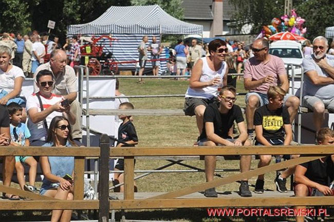 Niezwykłe sikawki w Cichowie