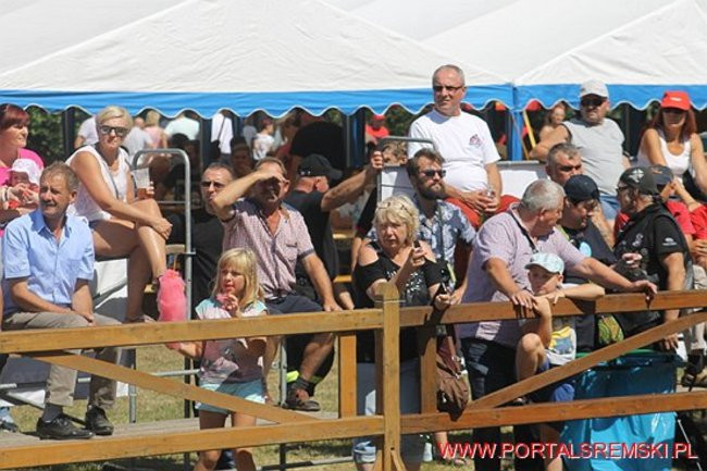 Niezwykłe sikawki w Cichowie