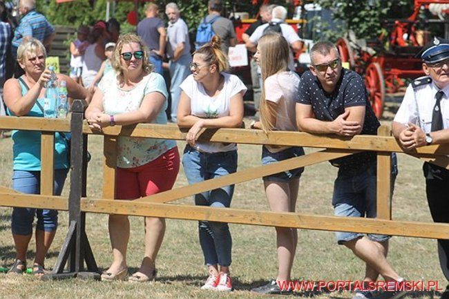 Niezwykłe sikawki w Cichowie