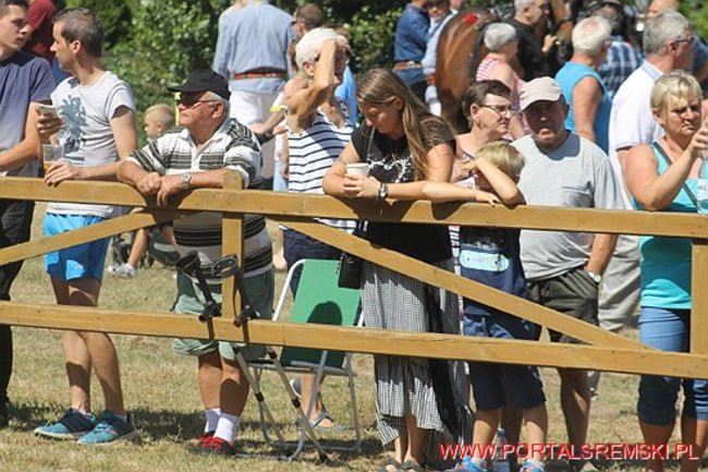 Niezwykłe sikawki w Cichowie