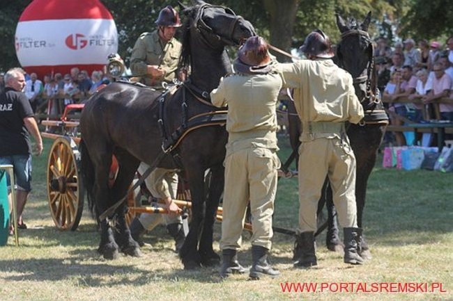 Niezwykłe sikawki w Cichowie