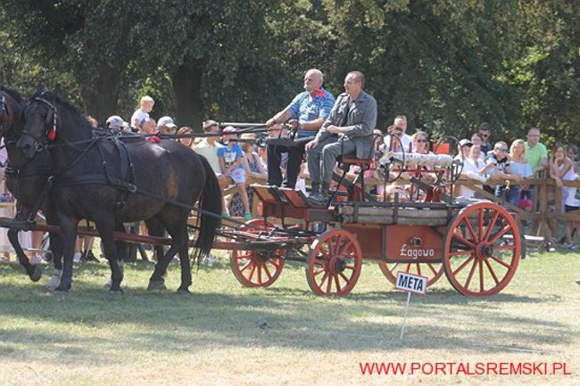 Niezwykłe sikawki w Cichowie