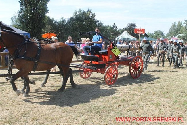 Niezwykłe sikawki w Cichowie