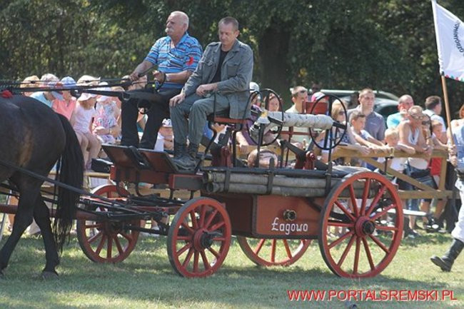 Niezwykłe sikawki w Cichowie