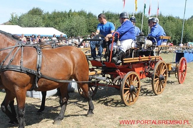 Niezwykłe sikawki w Cichowie