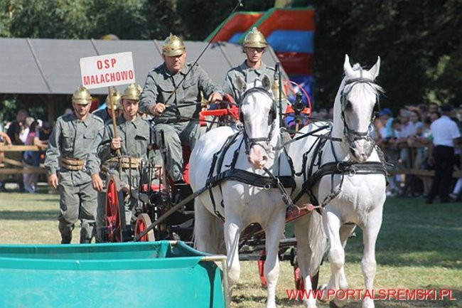 Niezwykłe sikawki w Cichowie