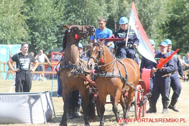 Niezwykłe sikawki w Cichowie